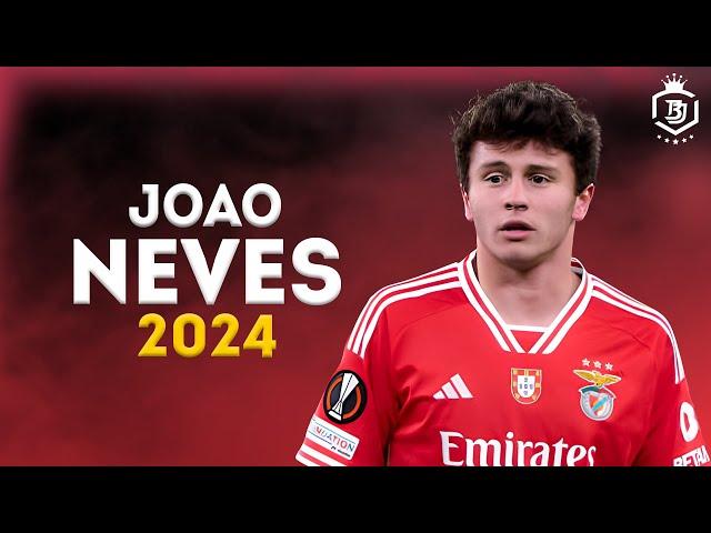 Joao Neves 2024 - Magic Skills & Goals | HD