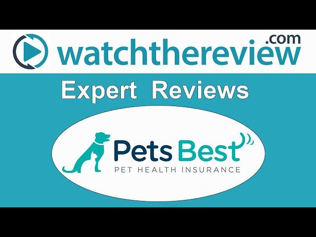 Pets Best Review - Pet Insurance