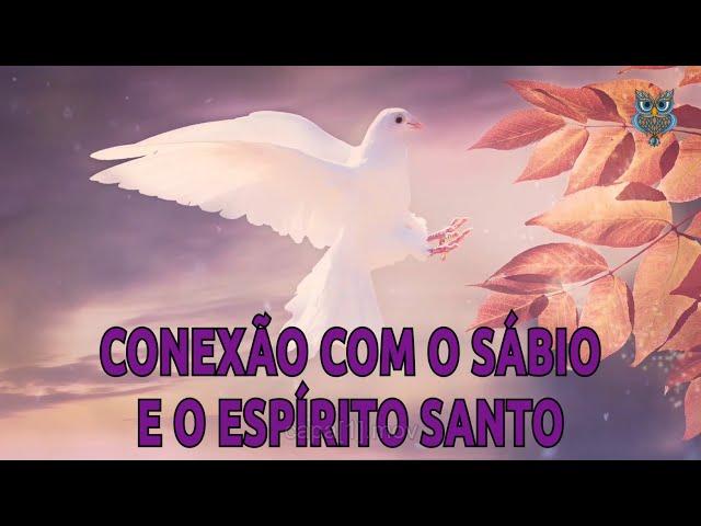 Meditação Guiada - Conexão com o  SÁBIO E O ESPÍRITO SANTO I Orientação espiritual através da alma