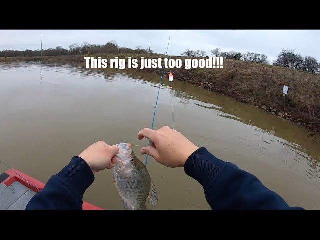 You better be using this rig at spillways! Pre-Spawn crappie absolutely love it! Creek February 2024