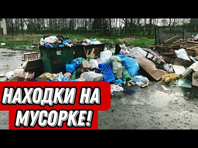 Что можно найти на мусорках Санкт-Петербурга? Находки на мусорке!