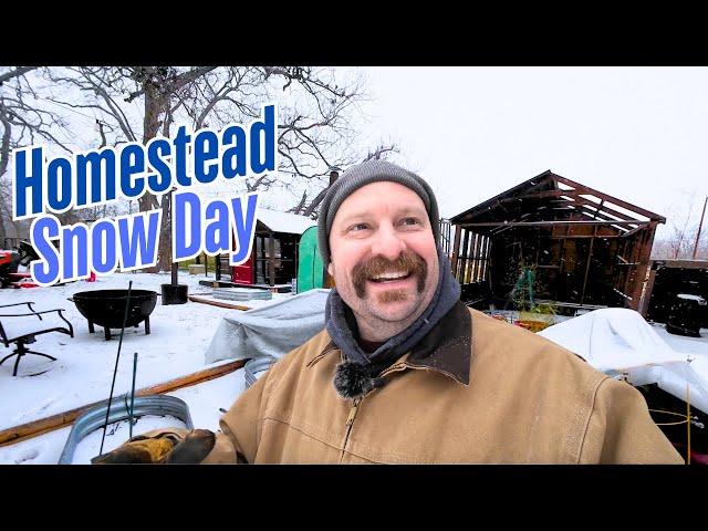 Unexpected Snow Day: How Our South Texas Homestead Handled the Cold