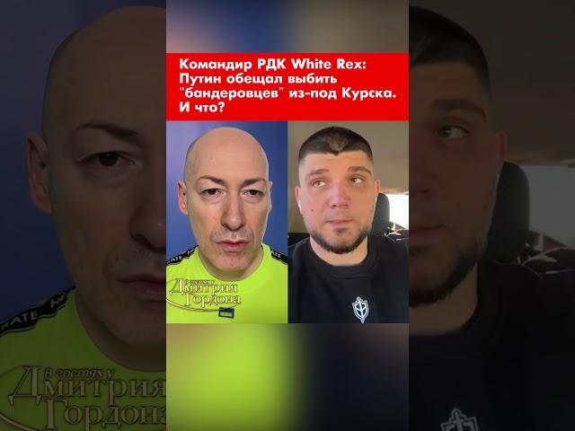 Командир РДК White Rex: Путин обещал выбить "бандеровцев" из-под Курска. И что? #shorts