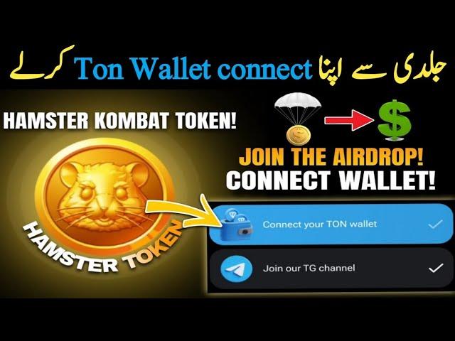 How to Connect Hamster Kombat ton wallet || Hamster kombat me ton wallet kese connect kare