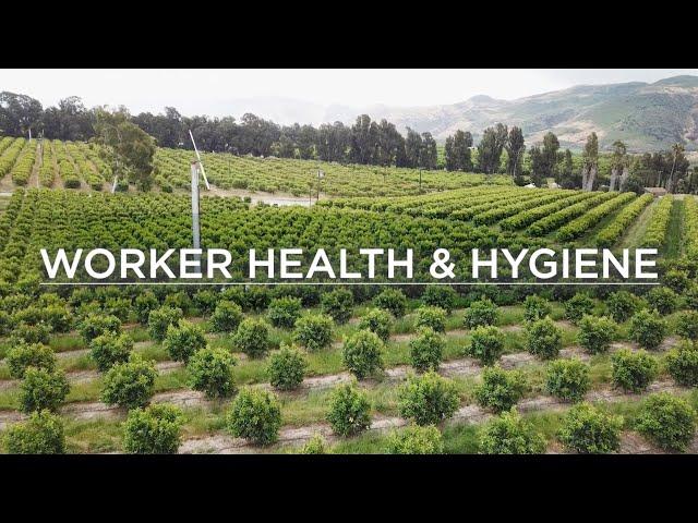 Fruit and Vegetable Food Safety Training Video for Field Employees