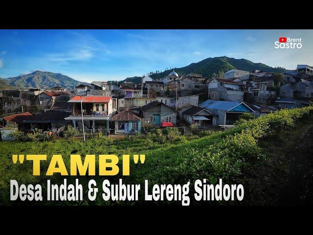 "TAMBI" DESA INDAH DAN SUBUR DI LERENG SINDORO | AIR MELIMPAH WALAU KEMARAU PANJANG