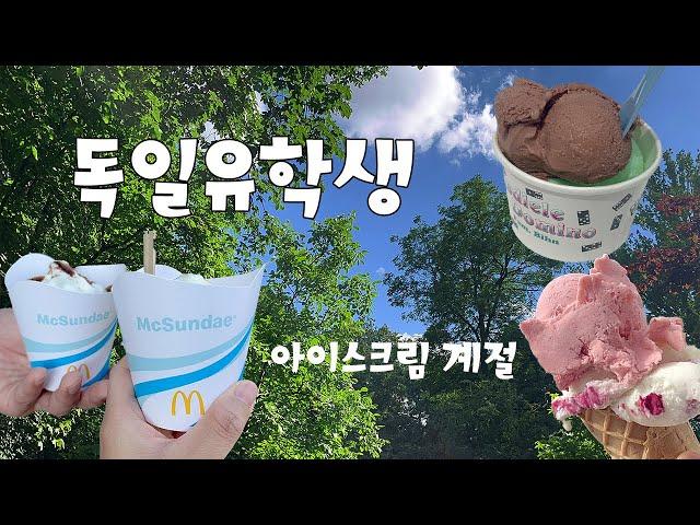  독일 유학생 일상 vlog | 독일 6월 날씨, 감기걸리기 딱좋네/ 독일살이 좋아보이는가? 빡쳐 산책하기, 외국에서 귀한잡채,미역국