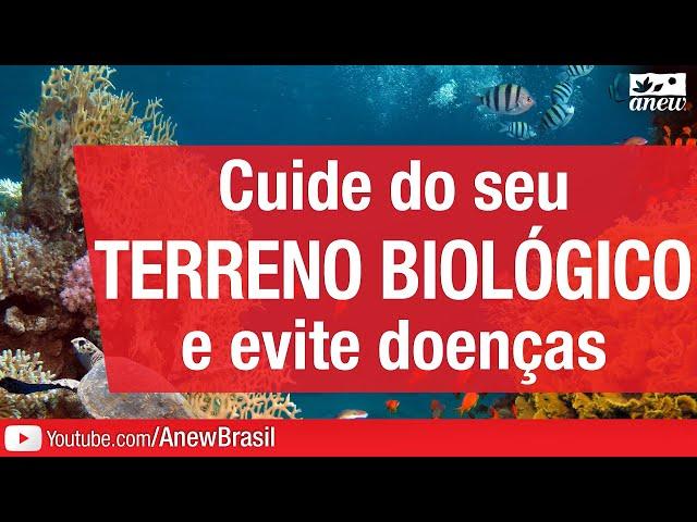 Cuide Do Seu Terreno Biológico E Evite Doenças