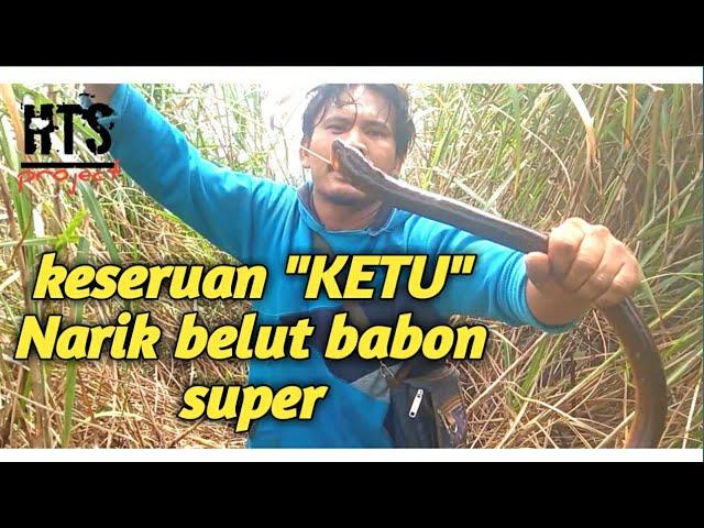 Keseruan mancing "BELUT super BABON"