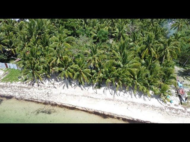 Rare Beachfront Property for Sale in Bantayan Island, Cebu - Perfect for Resorts or Vacation House