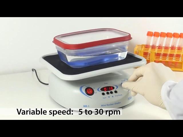 MR-1, Mini Rocker Shaker by Biosan - Marketed by FirstSource
