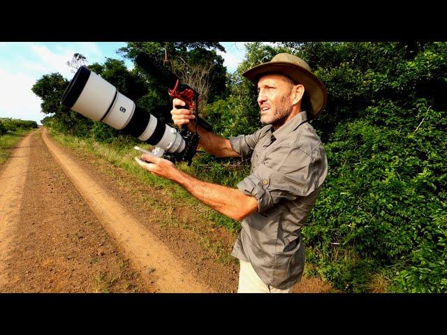 How To Film Wildlife | Ep 3