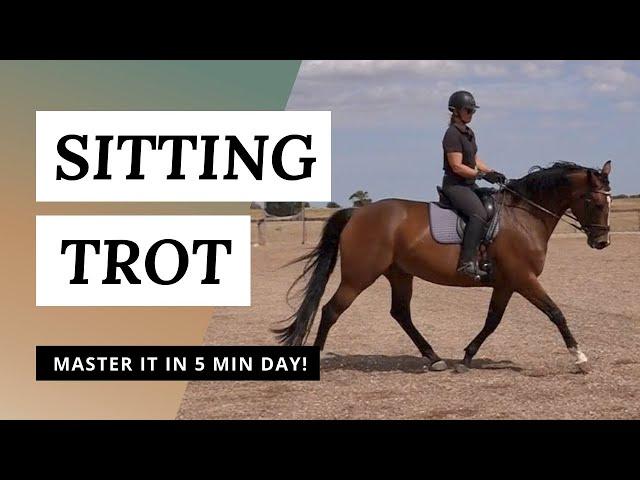 Sitting The Trot | How To Move Your Seat