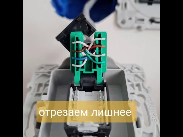 Подключение интернет розетки Schneider electric Odace