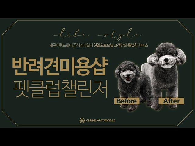 [LIFE STYLE] #반려견미용샵 천일 고객만의 특별한 서비스 'PET CLUB CHALLENGER'