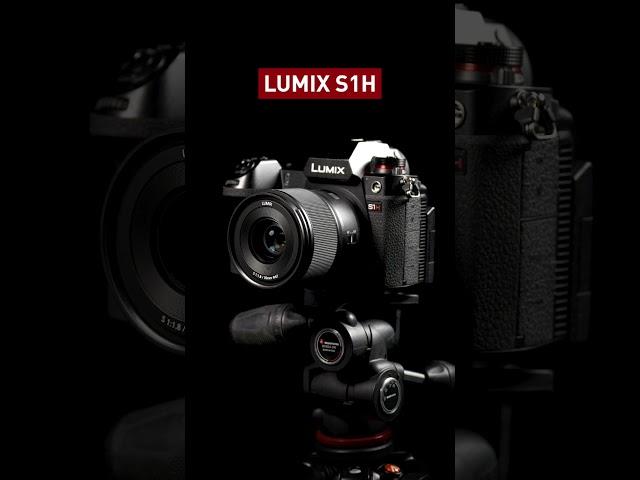 LUMIX S camera shutter sounds - because they’re cute! #ASMR #LUMIX #camera