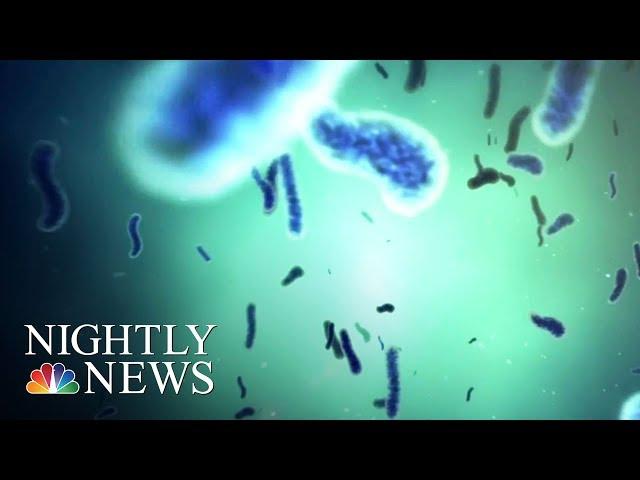 Probiotics Are The Latest Health Craze, But Are They Actually Good For You? | NBC Nightly News