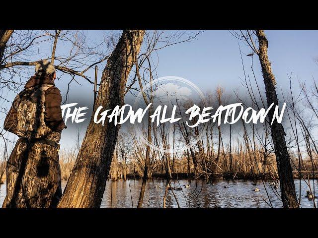 Duck Hunting- Gadwall Beatdown in a Willow Pond