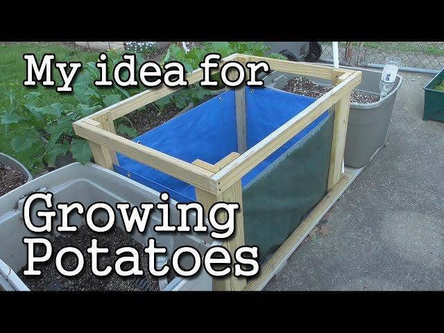 Growing Potatoes  in a Potato-Grow BOX - Urban Garden Style!