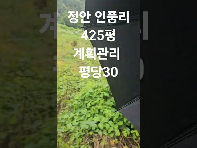 세종시 15분  #공주시토지   문의010-7590-5752