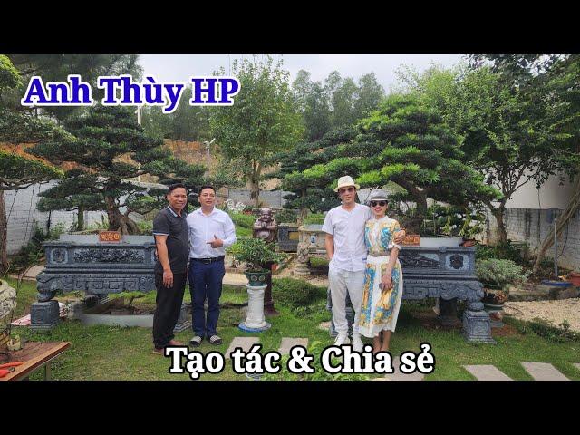 Trực tiếp xem anh Thùy HP chỉnh sửa các tác phẩm Tùng La hán cho NV An Tây  garden