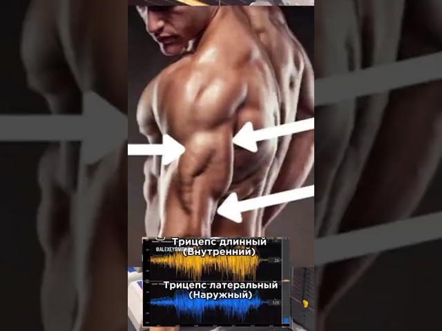 Arms  #armsworkout #gym #bodybuilding #bodybuilder #fitness #smartgym