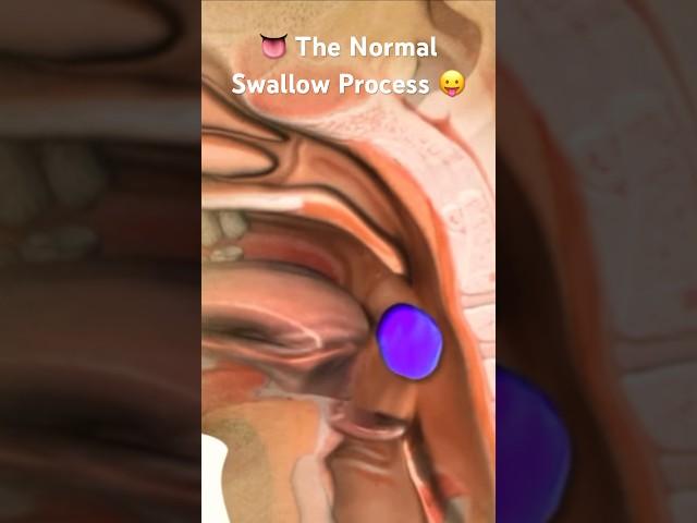 How Swallowing Mechanism Works  #dysphagia #speech #viralvideo #shortvideo #youtubeshorts #viral