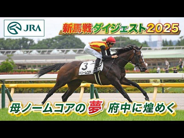 【新馬戦ダイジェスト】ドリームコア・リアライズシリウス ほか | 6月14日～6月15日（東京・阪神・函館） | JRA公式