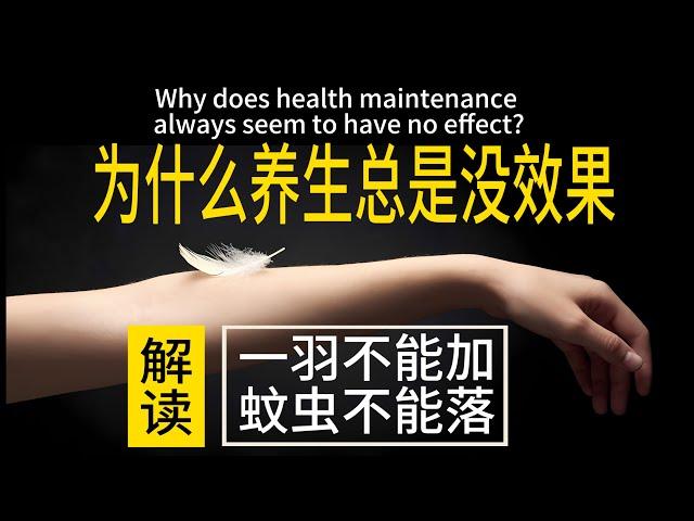 为什么学了很多功法，但养生却总是没效果？解读拳论一羽不能加，蚊虫不能落