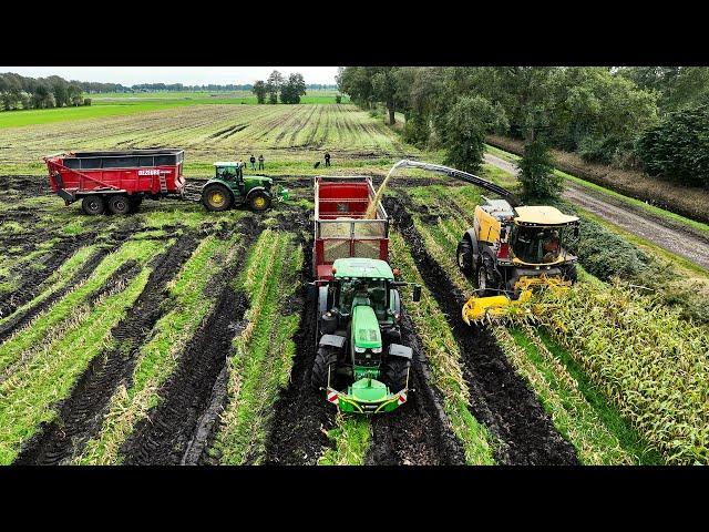 Mais 2024 | Fighting The Mud with a New Holland FR550 | 2x John Deere 6R with Dezeure | Timmerman