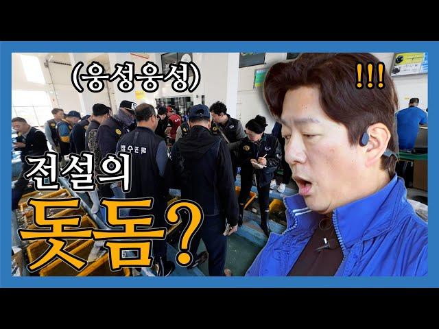 [가볼레오] 위판장을 뒤집어 놓은 전설의 돗돔?! (feat.갑오징어 세비체) ∥강레오