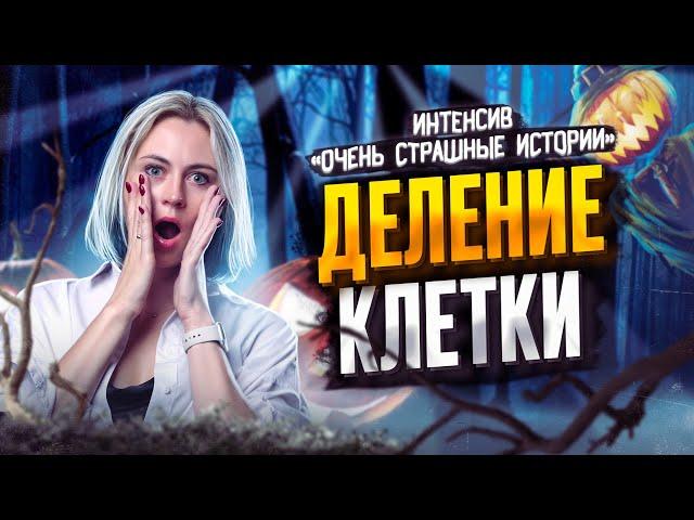 Деление клетки | Ксения Напольская