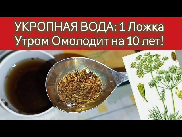 Пей Утром и на ночь!УКРОПНАЯ ВОДА: народное средство от многих недугов! Пищеварение, Омоложение