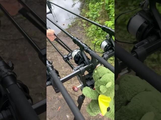 Daiwa Infinity Rods & Reel set #fishingporn #daiwa