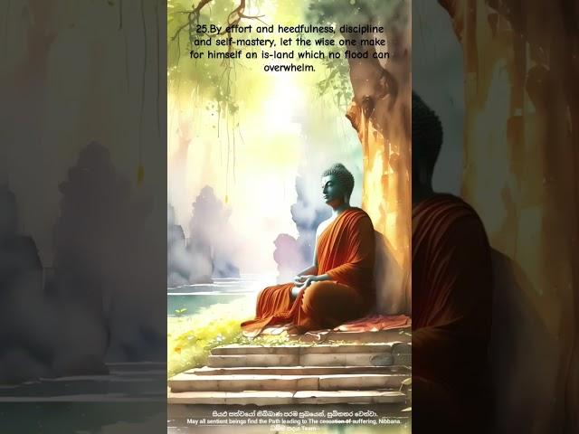 The Dhammapada : The Buddha’s Path of Wisdom #ytshorts #youtubeshorts #motivation #life #live #love