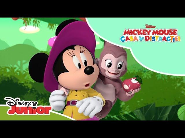  Înapoi în pădurea fermecată | Mickey Mouse: Casa distracției | Disney Junior România