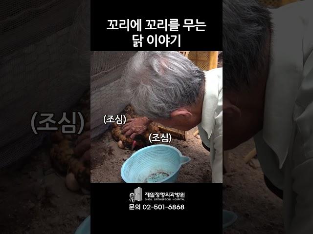 세상에 이런 일이;; 닭이랑 교감 하는 할아버지;;