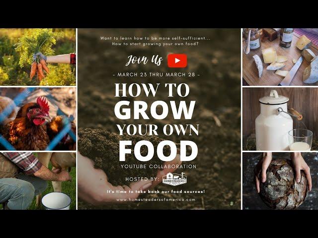 How to GROW Your OWN FOOD Series | INTRO