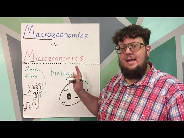 Macroeconomics Vs Microeconomics Explained in Two Minutes