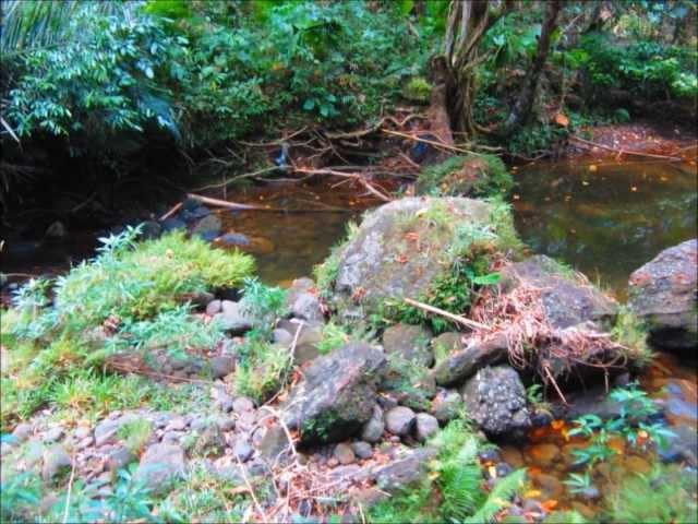 Farms for Sale Matina Pangi Davao City