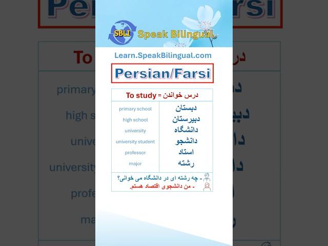 Persian (Farsi) Vocabulary for Daily Conversations, Pt  5: School #shorts #persian #persia #farsi