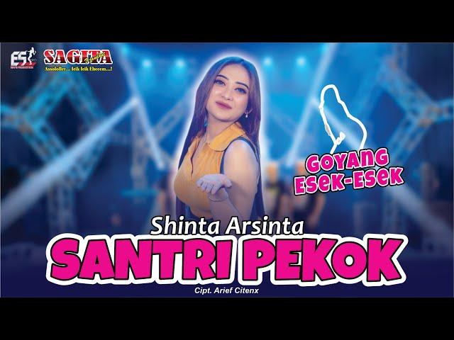 Shinta Arsinta - Santri Pekok | Dangdut (Official Music Video)