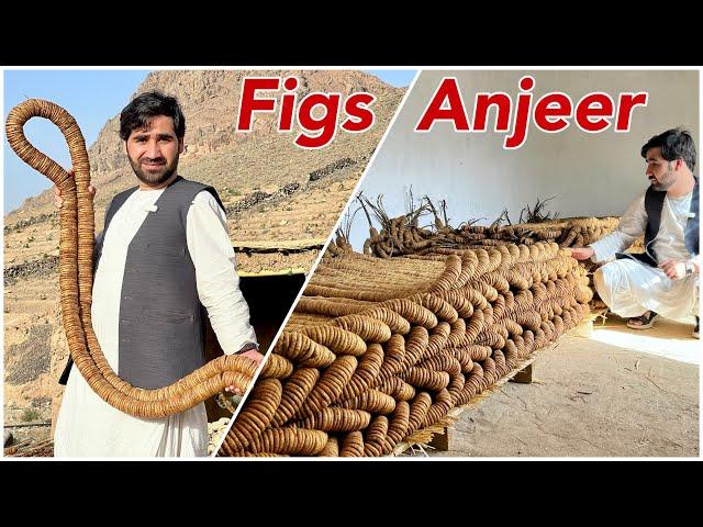 Afghanistan Dry fruits Anjeer | Dry Figs | New Crop 2023