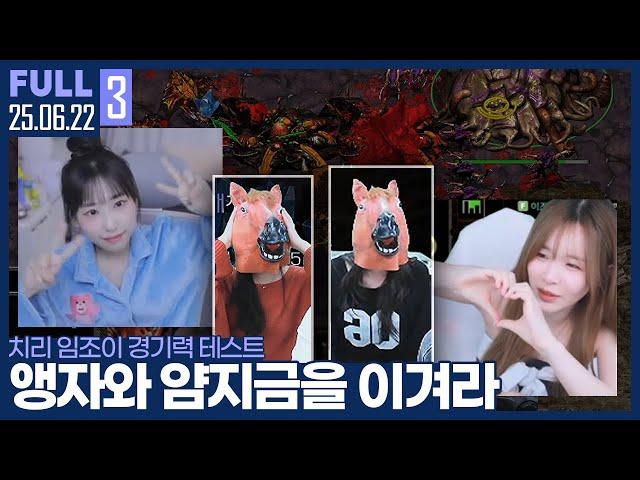 앵자 & 얌지금 출격! 치리&조이의 와플대전 대비 경기력 테스트 【치리조이 교육 :: 25.06.22 #3 풀영상】