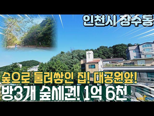 [인천빌라매매] 숲세권으로 둘러쌓인 장수동 숲세권 빌라! 3룸 1억대 대공원을 즐기면서 지내자 (no.309) [장수동빌라]