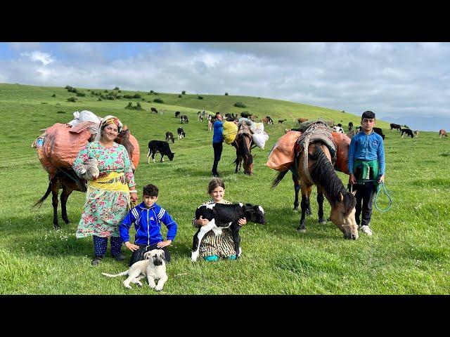 Amazing Migration of Nomads to Mountains and Green Meadows