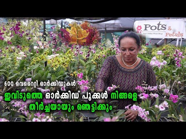 ഇത്രയും ഓർക്കിഡ് പൂക്കൾ കേരളത്തിലോ ?? Amazing Orchid Garden Kerala I Pots And Petals Orchid Farm