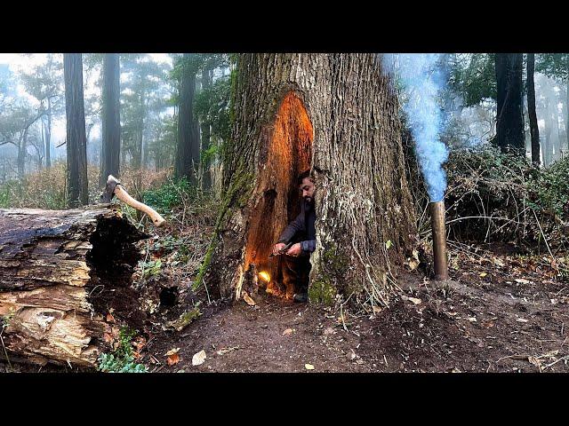 Bushcraft SURVIVAL Camping; Building a Warm Secret Shelter deep inside a Great OAK Tree, Fireplace