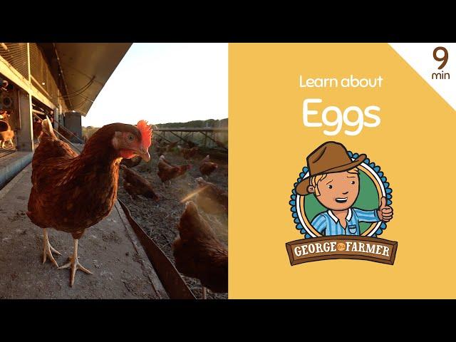 Free-range Eggs with George the Farmer