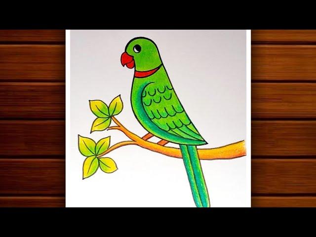 Parrot Drawing || How to Draw Parrot Step by Step for Beginners || Bird Drawing Colour.